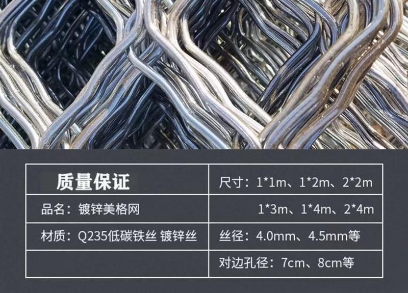 镀锌电焊网